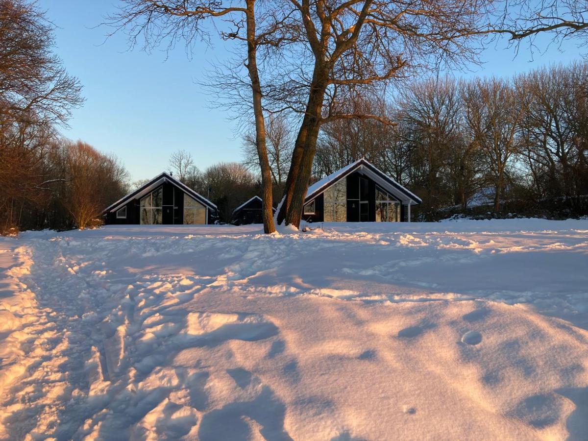 Ferienhaeuser Boddenstrand Wiek auf Rügen Buitenkant foto